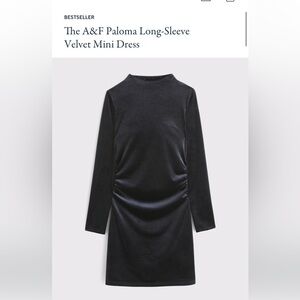 Abercrombie Paloma Long Sleeve Velvet Mini Dress Size L
